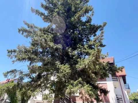 Sale, house, 453m², Sremčica, Beograd - image 4