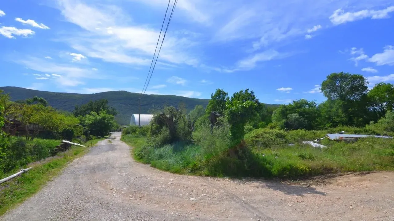Prodaja, plac, 1600m², Lastva Grbaljska, Kotor