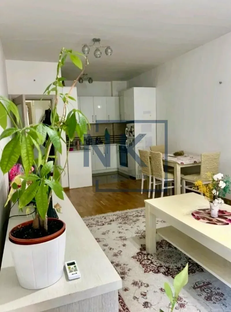 Izdavanje, jednosoban stan, 48m², Stari Aerodrom, Podgorica