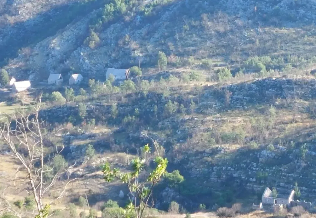 Sale, land lot, 480000m², Brestice, Nikšić