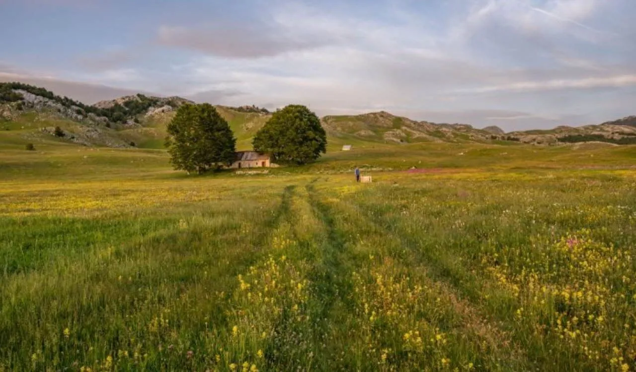 Prodaja, plac, 87343m², Krnovo, Nikšić