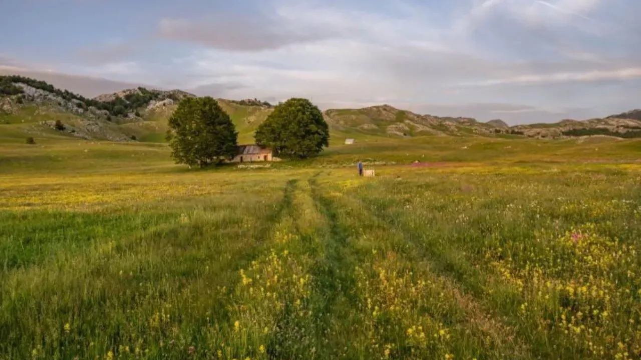 Sale, land lot, 87343m², Krnovo, Nikšić