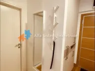 Izdavanje, dvosoban stan, 45m², Trošarina, Voždovac Sve Podlokacije - image 13