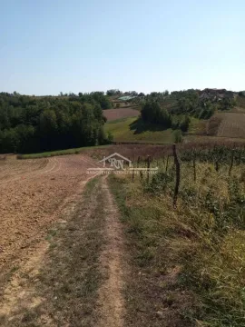 Prodaja, kuća, 30m², Lučani, Srbija - image 10