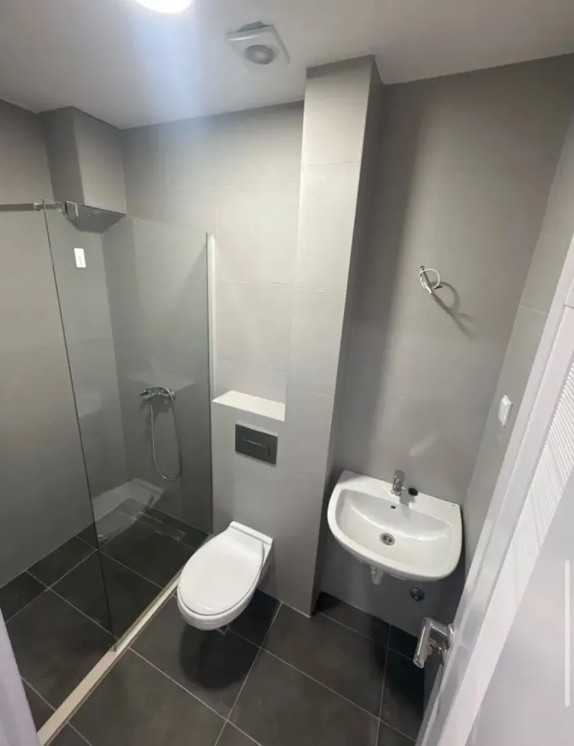 Modernly equipped bathroom with a walk-in shower, washbasin, and toilet.
