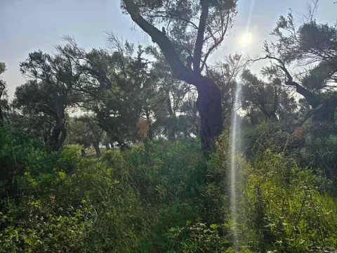 Prodaja, plac, 3000m², Ulcinj, Crna Gora - image 4