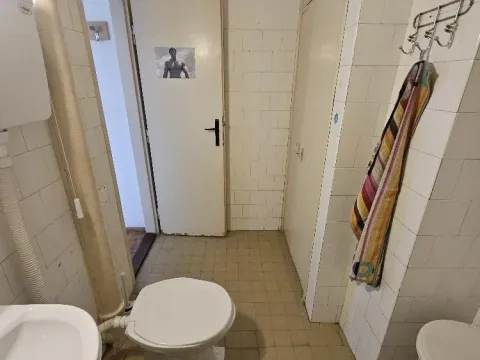 Rent, one bedroom apartment, 33m², Zemun Centar, Zemun Sve Podlokacije - image 16