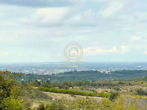 Prodaja, plac, 2500m², Sremska Kamenica, Petrovaradin - image 4