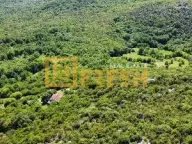 Prodaja, plac, 21460m², Beri, Podgorica - image 4