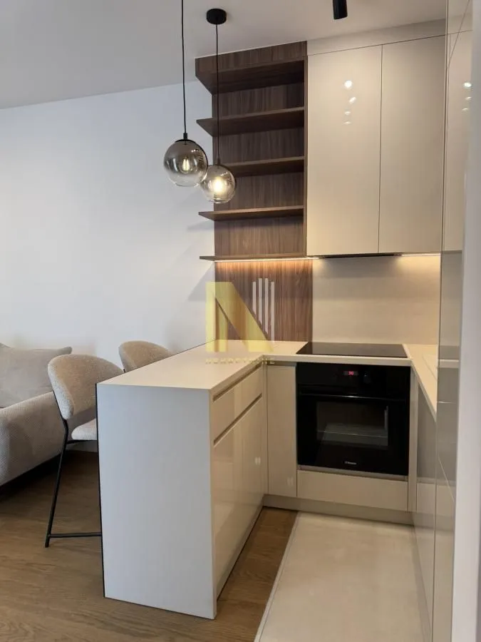 Izdavanje, dvosoban stan, 40m², Centar, Novi Sad