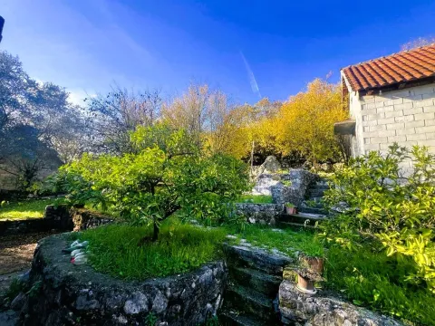 Sale, house, 180m², Novo Selo, Danilovgrad - image 3