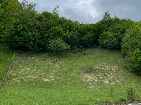 Prodaja, plac, 13789m², Bijelo Polje, Podgorica - image 15