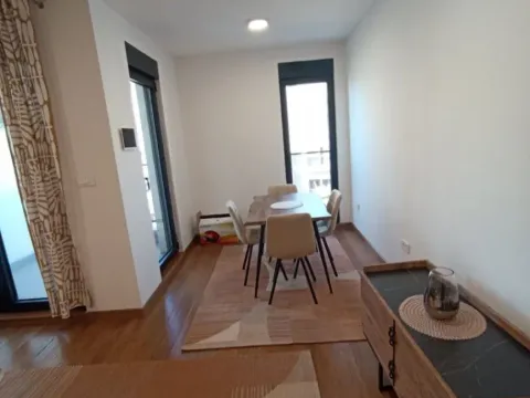 Izdavanje, garsonjera, 40m², Preko Morače, Podgorica - image 13