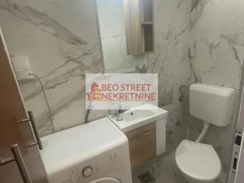 Izdavanje, četvorosoban stan, 110m², Savski Venac, Beograd - image 9