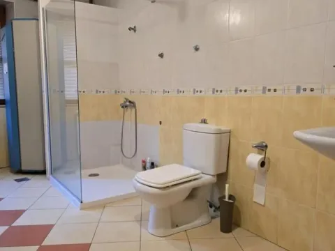 Rent, house, 250m², Sajmište, Novi Sad - image 41