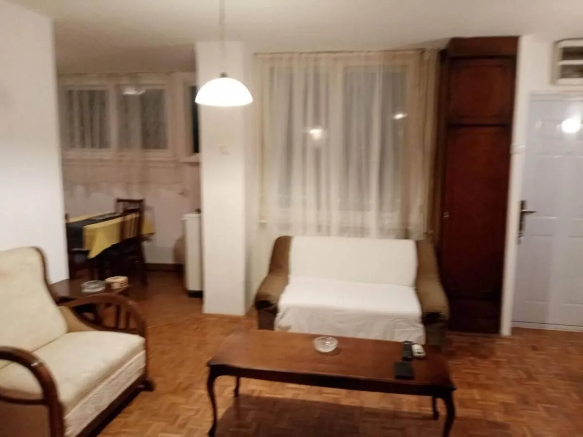 Izdavanje, dvosoban stan, 50m², Novi Beograd Blok 29, Novi Beograd Sve Podlokacije