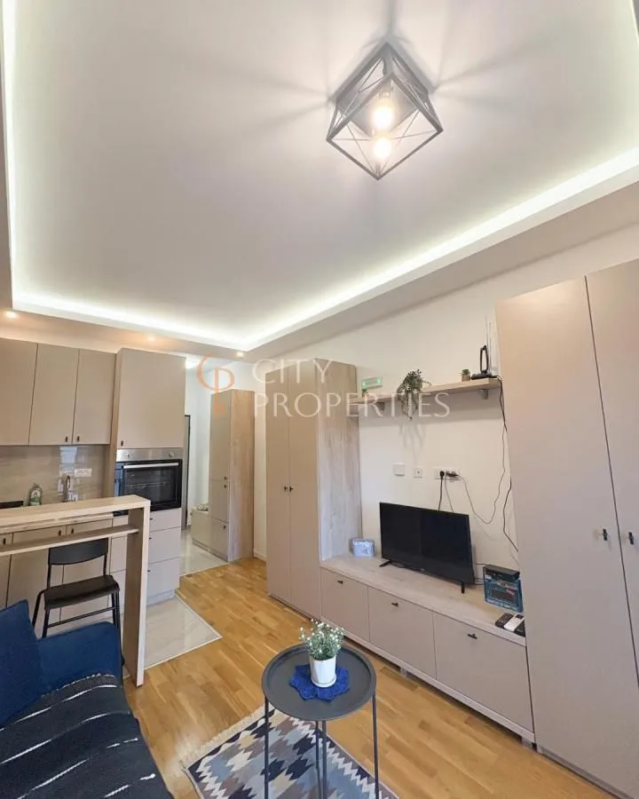 Rent, apartment, 20m², Zabjelo, Podgorica