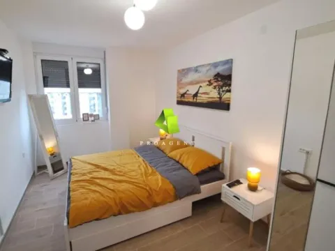 Rent, one bedroom apartment, 48m², Pantelej, Niš - image 5