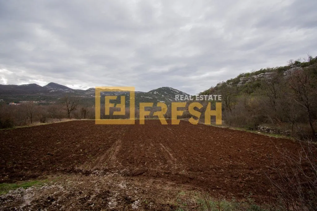 Prodaja, plac, 1566m², Ostalo, Podgorica