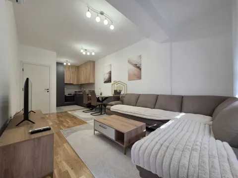 Izdavanje, jednosoban stan, 44m², Stari Aerodrom, Podgorica - image 3