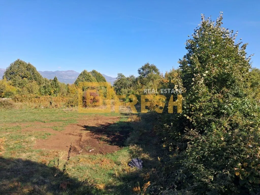 Pogled na zemljište i prirodu sa zelenilom i drvećem.