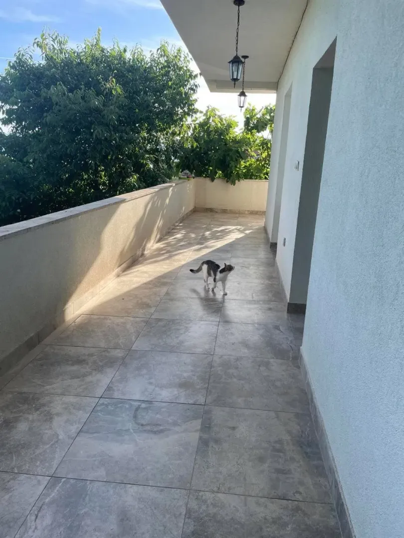 Izdavanje, jednosoban stan, 60m², Malo Brdo, Podgorica
