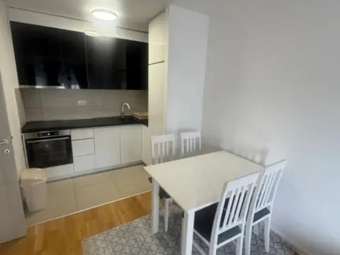 Izdavanje, jednosoban stan, 45m², Ljubović, Podgorica - image 2