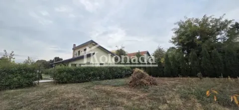 Pogled na dvorište i spoljašnjost kuće sa zelenilom. - image 14