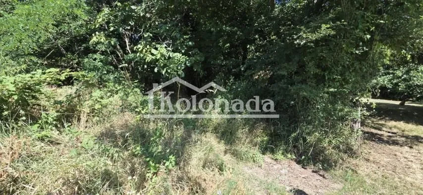 Prodaja, plac, 2300m², Parcani, Sopot