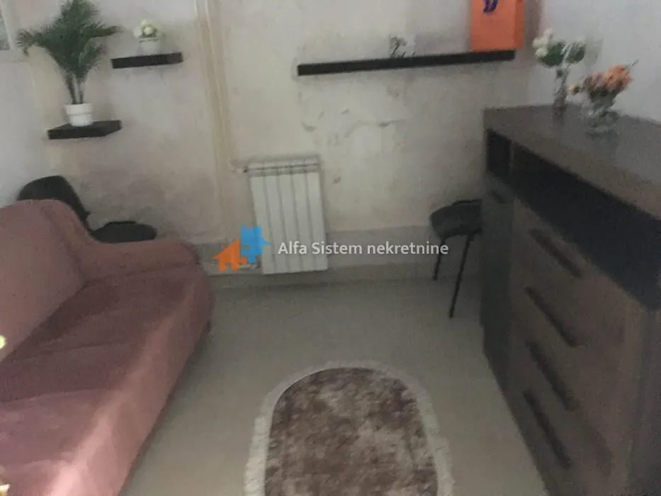 Smaller living room with a sofa, chest of drawers, and radiator.