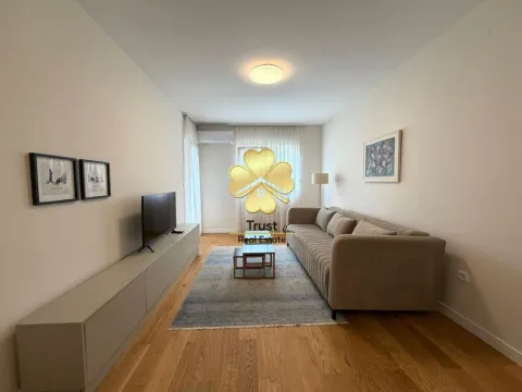 Rent, one bedroom apartment, 50m², Central Point, Podgorica - image 1
