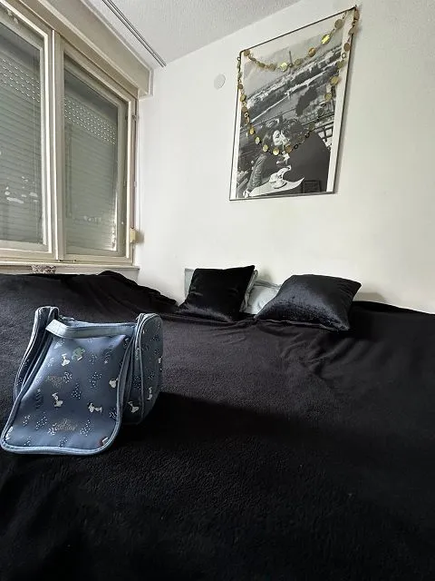 Rent, three bedroom apartment, 55m², Zemun Sve Podlokacije, Beograd