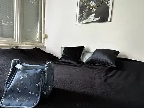 Rent, three bedroom apartment, 55m², Zemun Sve Podlokacije, Beograd - image 4