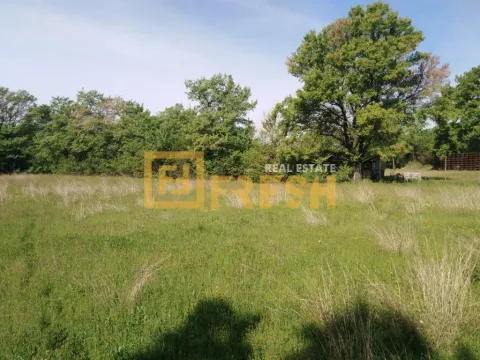 Prodaja, plac, 780m², Ostalo, Podgorica - image 3