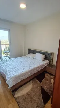 Izdavanje, jednosoban stan, 44m², Zagorič, Podgorica - image 2