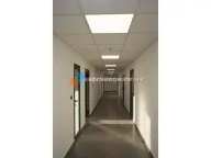 Izdavanje, poslovni prostor, 1200m², Karaburma, Palilula Sve Podlokacije - image 7