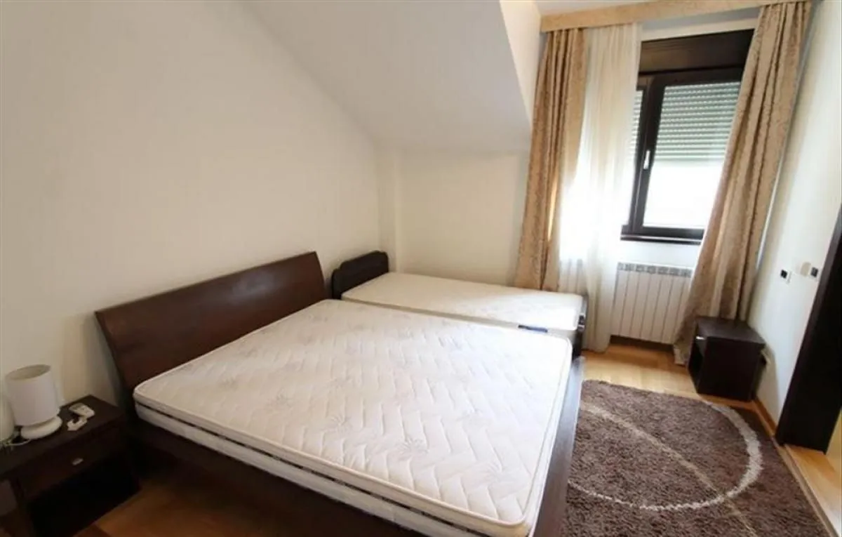Izdavanje, stan, 200m², Senjak, Beograd