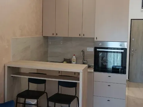 Rent, one bedroom apartment, 20m², Zabjelo, Podgorica - image 2