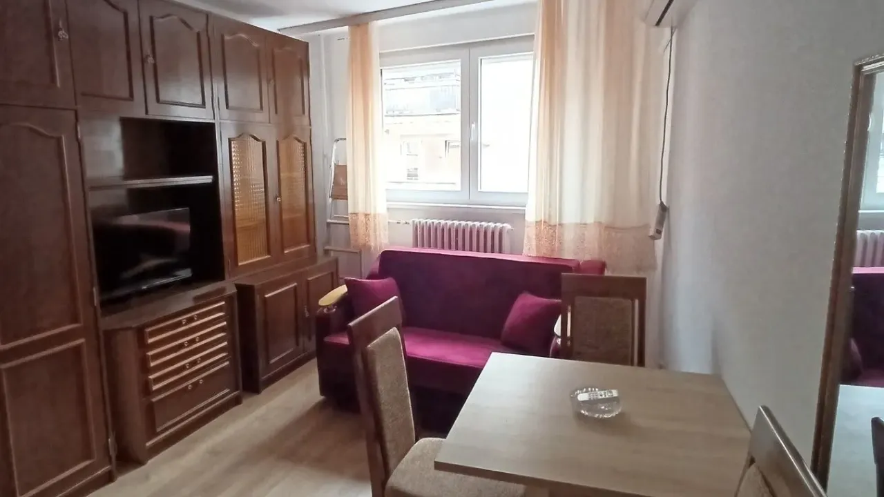 Rent, one bedroom apartment, 23m², Vračar Hram, Vračar Sve Podlokacije