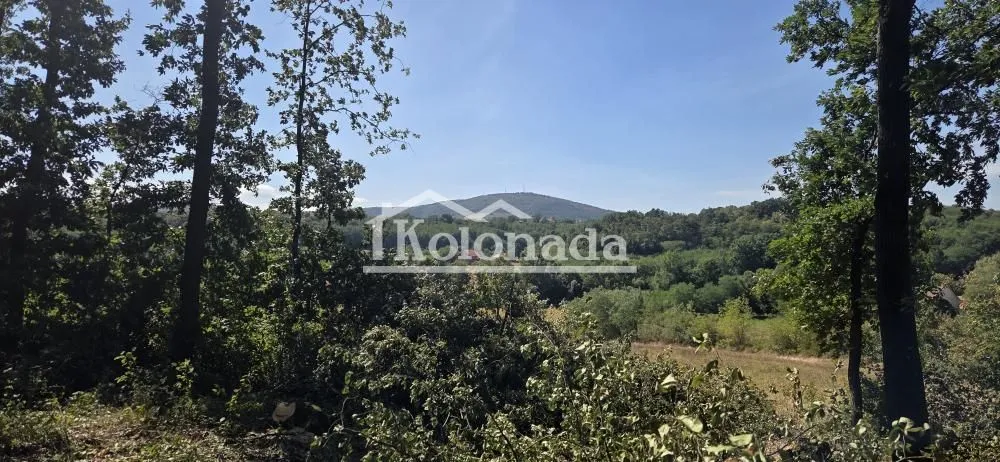 Pogled na prirodu i šumu sa imanja.
