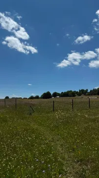 Ograđeni travnati plac pod vedrim nebom. - image 2