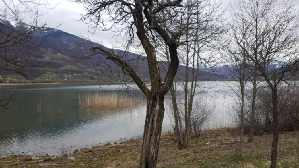 Prodaja, plac, 1750m², Vojno Selo, Plav