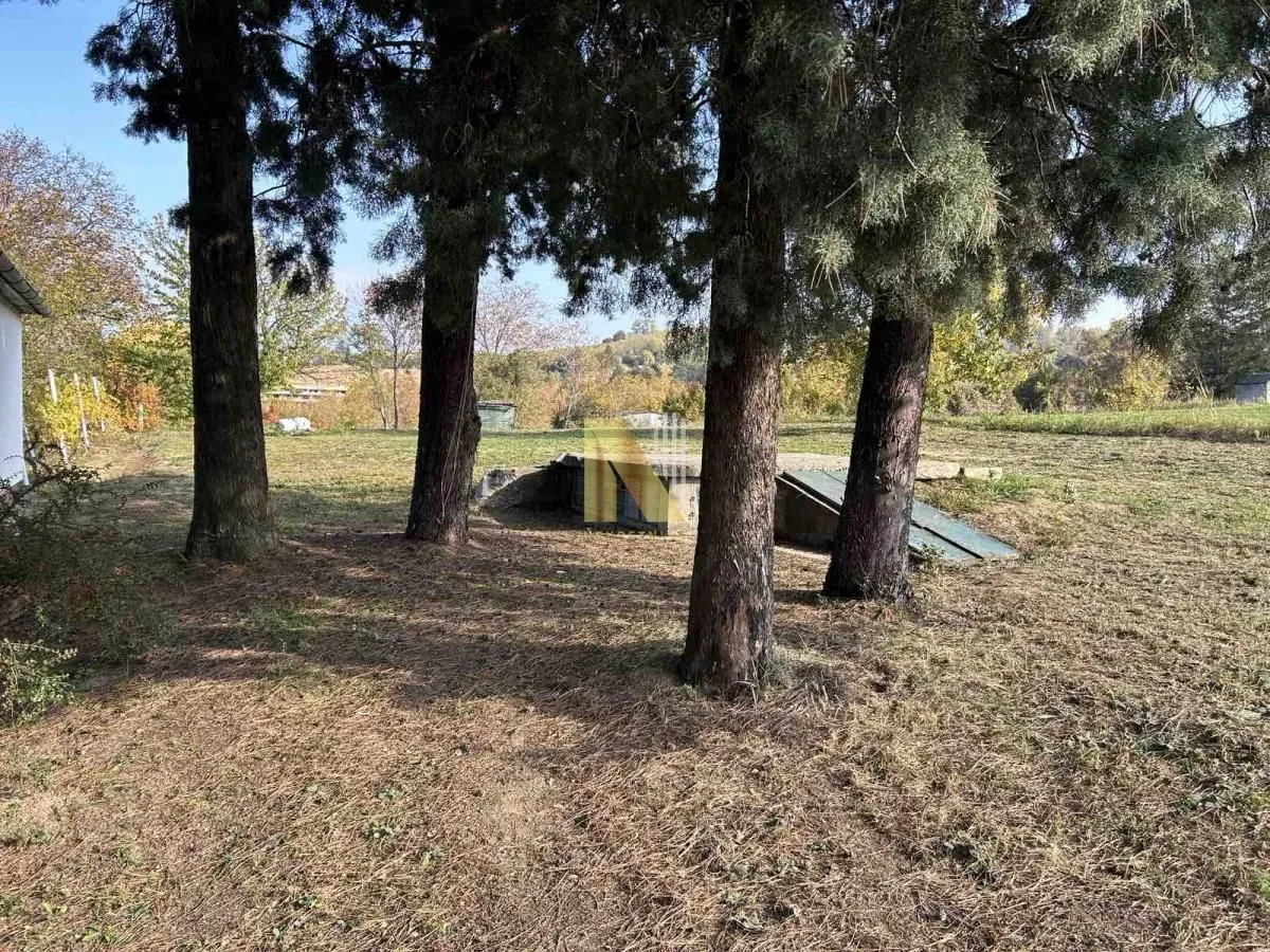 Prodaja, plac, 1198m², Alibegovac, Petrovaradin