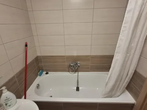 Izdavanje, jednosoban stan, 40m², Jugovićevo, Novi Sad Sve Podlokacije - image 7
