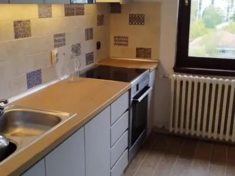 Izdavanje, dvosoban stan, 50m², Bulevar Oslobodjenja, Novi Sad Sve Podlokacije - image 6