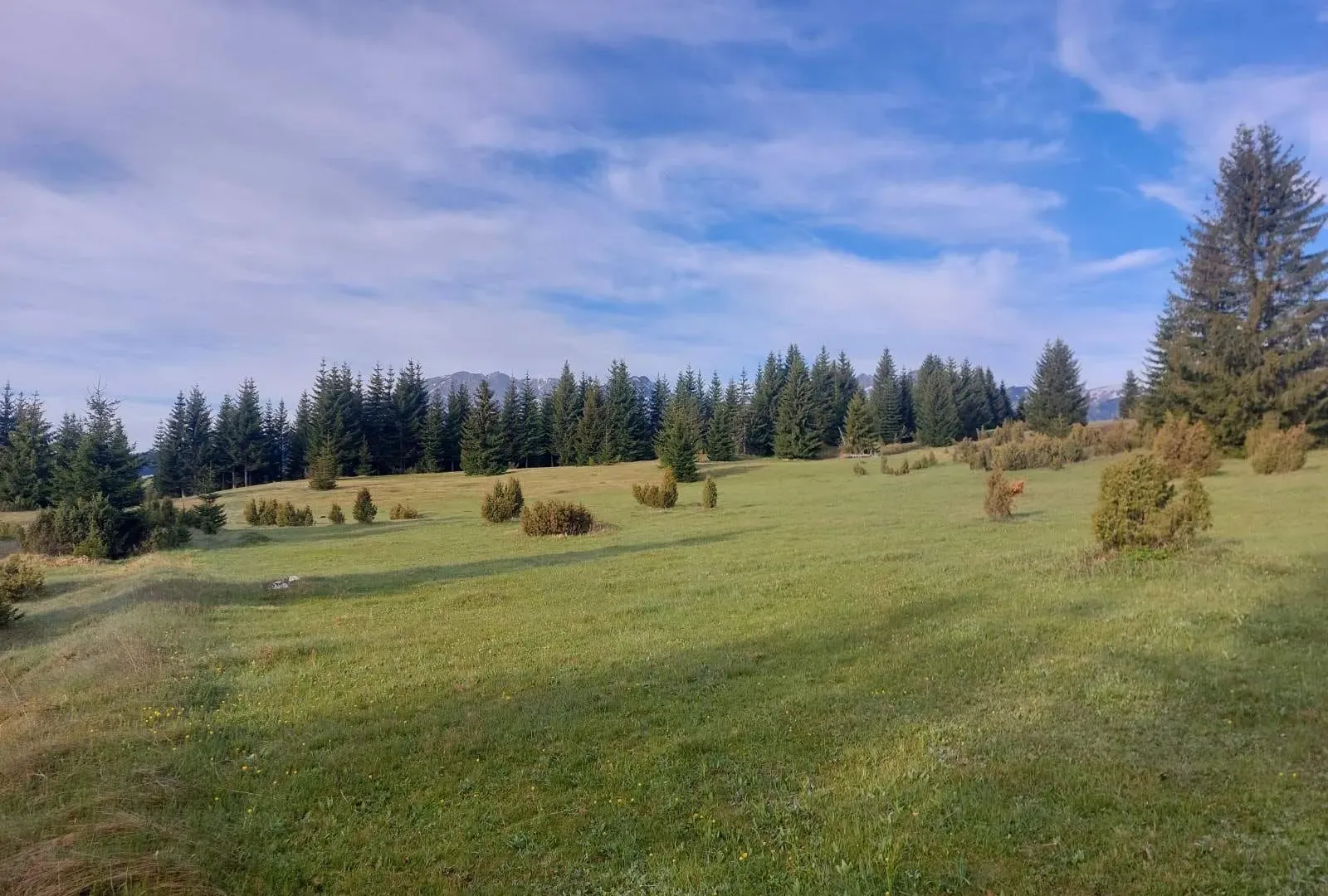 Prodaja, plac, 17505m², Žabljak, Crna Gora