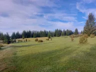 Sale, land lot, 17505m², Žabljak, Crna Gora - image 2