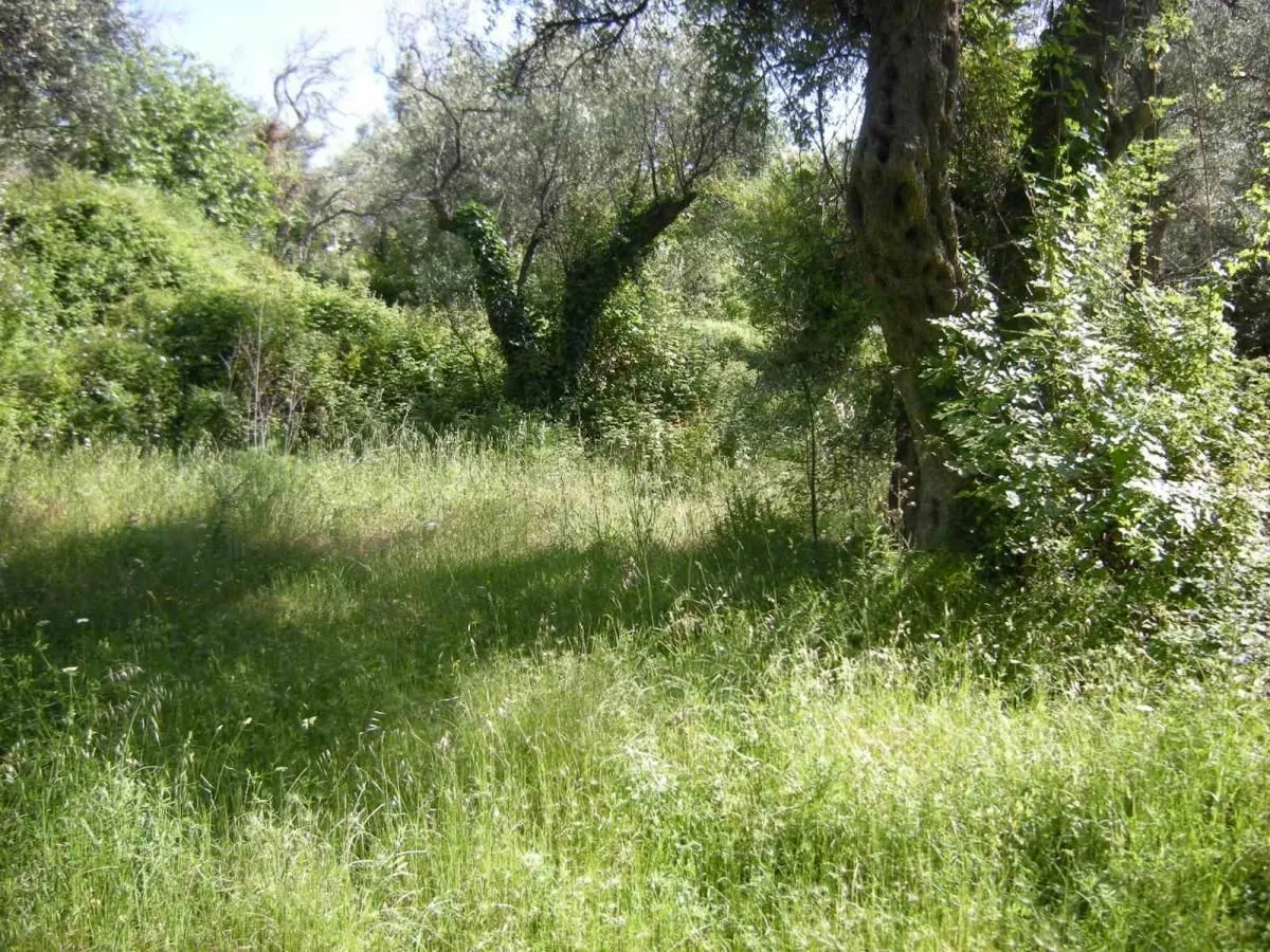 Prodaja, plac, 500m², Budva, Crna Gora