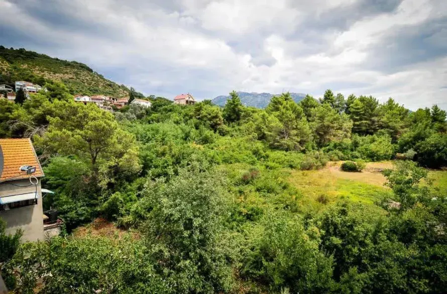 Pogled sa nekretnine na šumu, zelenilo i okolni pejzaž.