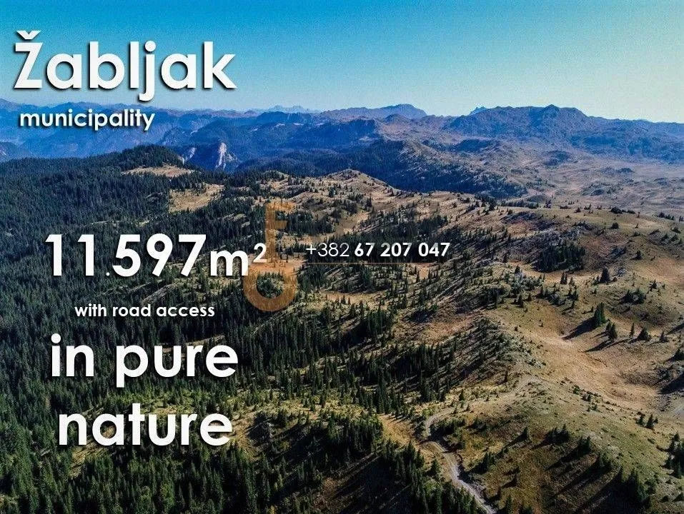 Prodaja, plac, 55515m², Žabljak, Crna Gora